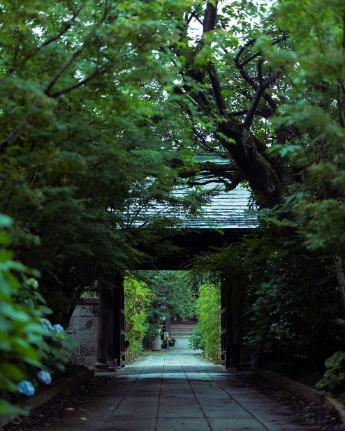 新たな選択肢の裏側